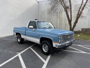 1984 Chevrolet C/K Truck for sale 101689896